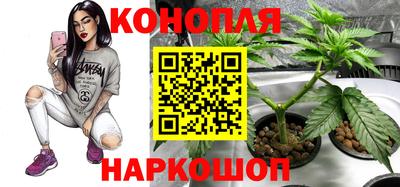 соль ск Партизанск